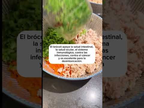 Comida húmeda casera para perros 🐕