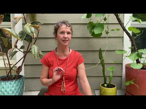 Chandra Bhedana - Cool the Emotions with "Piercing the Moon" pranayama