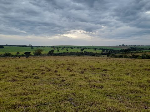 SITIO EM FLOREAL NHANDEARA DE 9 ALQUEIRES TOP DEMAIS 1.350.000