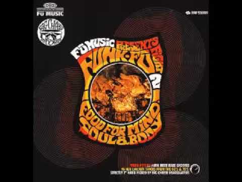 Various - Funk Fu Fight 2 : Psycho Funk Vs Rare Grooves Hot Soul From 60's & 70's Music Compilation