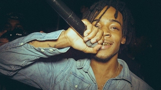 Thouxanbanfauni - Flyin