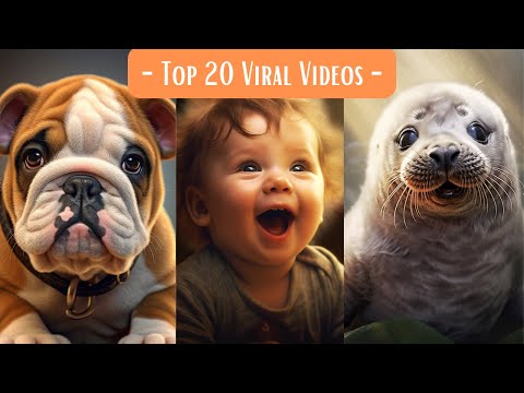 TOP 20 Best Viral Videos | The Best Of The Internet