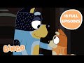 LIVE Best Of Bingo 2 HOURS Bluey Series 1 2 3 FULL EPISODES Bingo