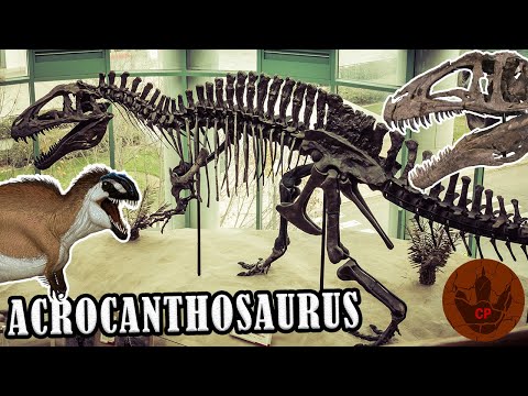 ACROCANTHOSAURUS El Lagarto De Espinas Altas