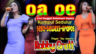 Download lagu DANGDUT KOPLO ASYIK PLAYER ROBBY FULL ALBUM OAOE MUSIC LIVE TUNGGUL JEPARA mp3