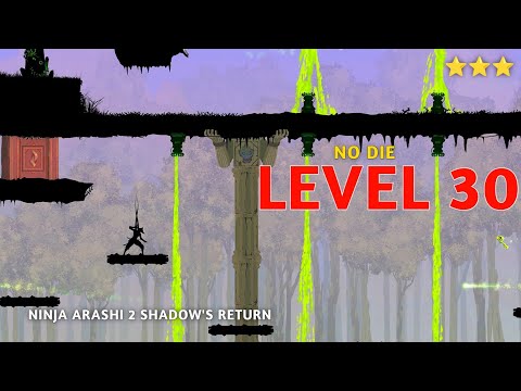 Ninja Arashi 2 Shadow's Return Level 30