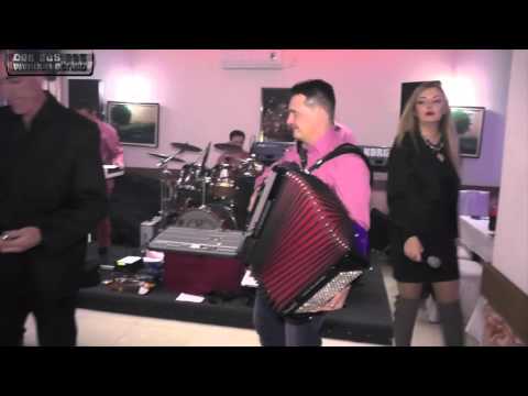 Orkestar Darka Antica (Zvezdan Tomasevic) - Vino mi uzima dušu , Restoran Verige 2016