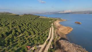 Büyükçekmece | Doğal Yaşam Alanı | Drone Çekimi 4K