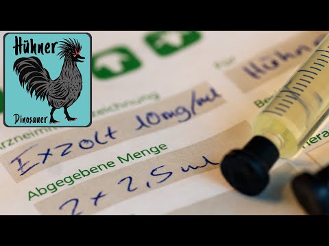 🩸🕷 Rote Vogelmilbe bekämpfen bei 🐔 Hühnern mit dem Medikament Exzolt