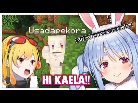 Kaela got intimidated by Pekora when she meet her in Minecraft !!!!!