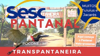 preview picture of video 'Pantanal - Transpantaneira'