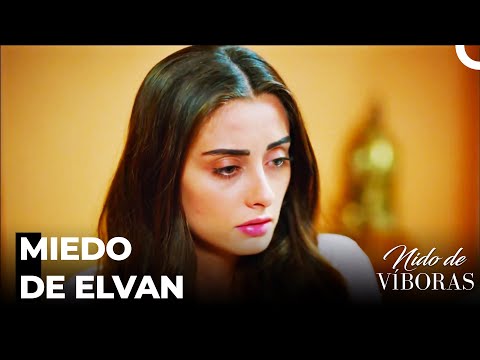 Pesadillas De Elvan - Nido De Víbora