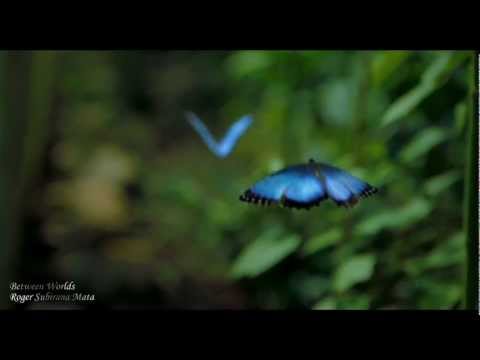 Between Worlds - Roger Subirana Mata