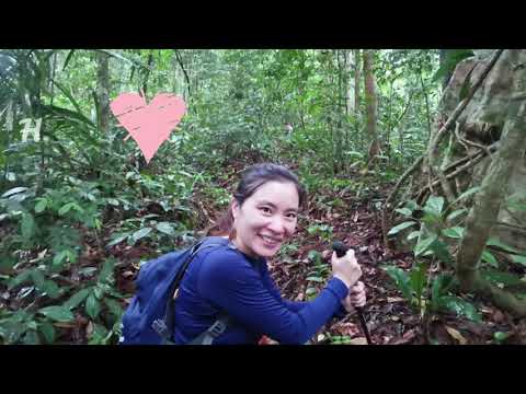 The Lazy Woman Diary 🌻 02