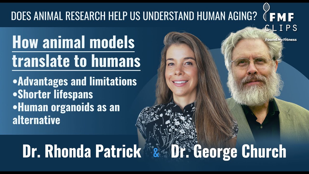 Does animal research help us understand human aging? │ Dr. George Church