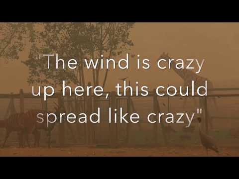 Recorded 911 calls from October 8, 2017, Sonoma County fires