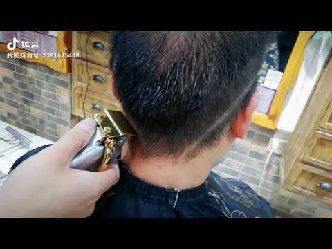 Kemei 1986 All metal Barber Professional Hair Clipper KM-1986