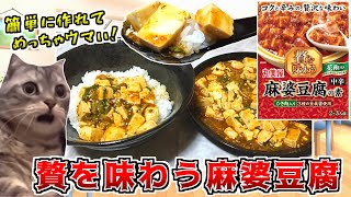 【丸美屋】この麻婆豆腐レトルトなのにレベル高すぎない？【猫ミーム】