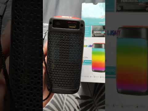 GTS 1732 Portable Speaker