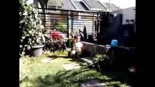 Download lagu zeva lucu maen di halaman mp3 Download lagu zeva lucu maen di halaman mp3