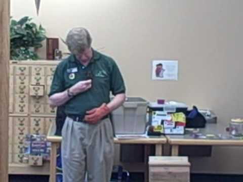 Echo the brown bat at AuGres Community Library