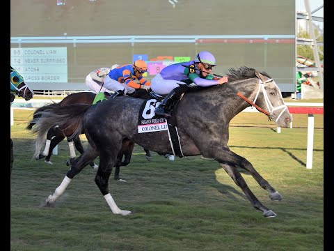 Pegasus World Cup Turf Invitational (G1) 2022
