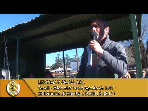 16-08-17 Venta de Machos - Ledesma y Arana S.R.L. - Tandil.