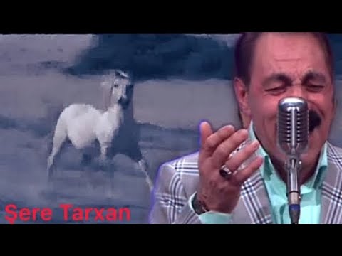 Dengbej Hekkê | Şere Tarxan