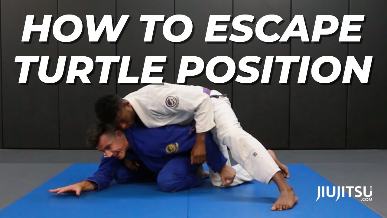 How to Escape Turtle Position