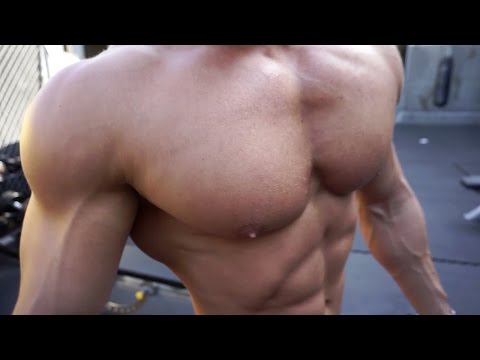 Outdoor Chest and Shoulder Workout Golds Gym Venice