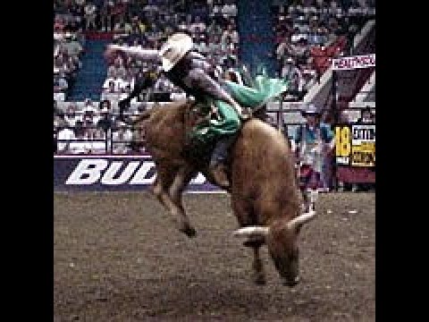 Jim Jam bucks Brian Herman - 99 PBR Louisville