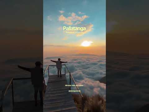 Este spot parece sacado de una película y queda en Ecuador 🇪🇨✨ 📍Mirador Mar de Nubes, Pallat