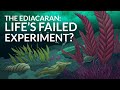 Were These The First Animals?