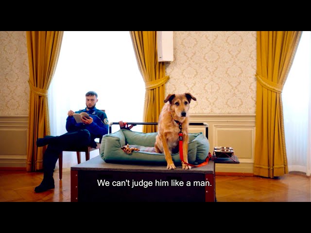 Dog on Trial / Le Procès du chien (2024) - Trailer (English Subs)