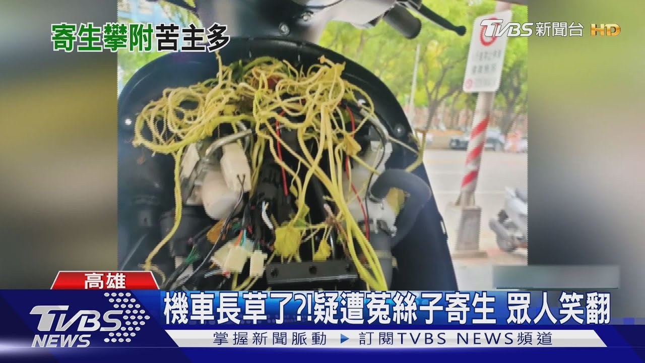 真的沒騙你啦!機車竟然長草了 號稱無敵環保概念車