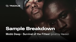 Sample Breakdown: Mobb Deep - Survival of the Fittest