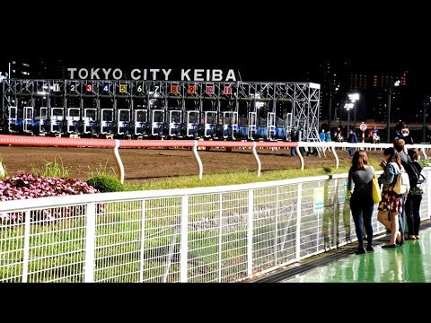 Twinkle Races at Tokyo City Keiba