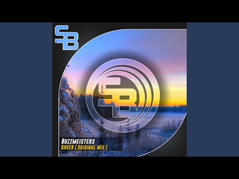 Buzzmeisters Raven (Original Mix) (1) (1)