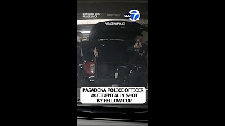 Pasadena police officer accidentally shot by fellow cop