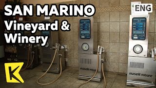 【K】San Marino Travel[산마리노 여행]포도밭과 와인 공급소/Vineyard/Winery/Grape/Wine