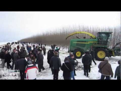 Recoltare de salcie energetica