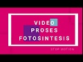 Proses Fotosintesis Dengan Animasi StopMotion MM UNSADA