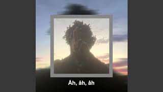 Ecco2k   Pollen Lyrics