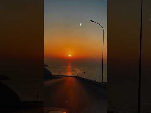 Dicen…………….