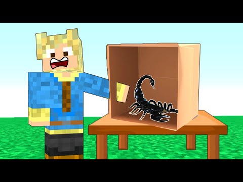 KLAM Hvad Er Der i KASSEN i Minecraft?!