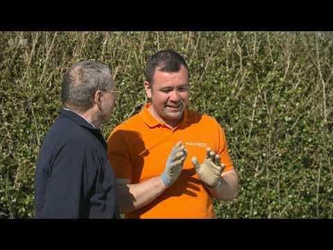 Beechgrove Garden Season 47 Episode 3