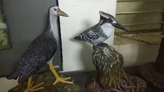 preview picture of video 'Vellode Bird Sanctuary is one the famous attraction in Erode'