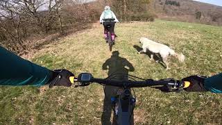 Mountainbike-Trails ohne Ende im Odenwald // MTB Geo-Naturpark Strecke Mi1 // Opening 19.05.2019