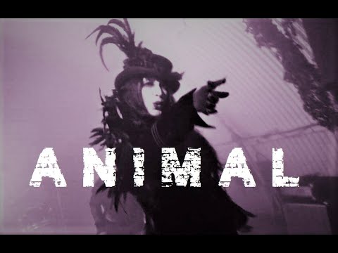 Down From Above - Animal (Official Video)