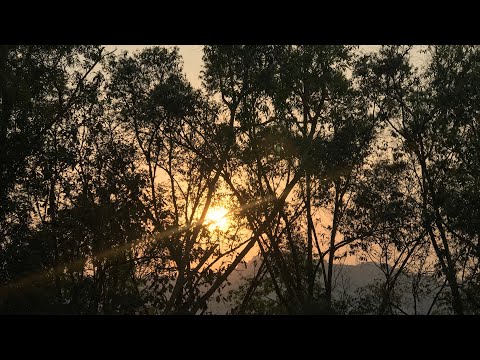 YDLR - Tory Lanez(Cover) din.x.dina